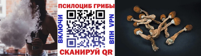 наркота  Медынь  Галлюциногенные грибы ЛСД 